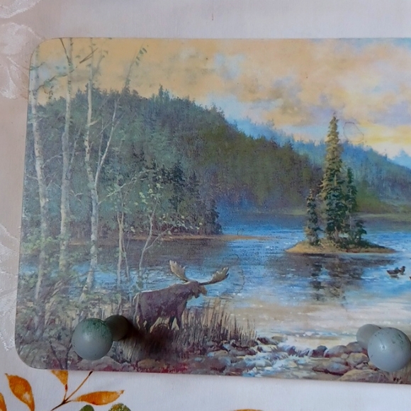 Four Peg Coat Rack/Wallhanging Great for a Country Home,Cottage,Cabin or Camp. - Picture 2 of 12